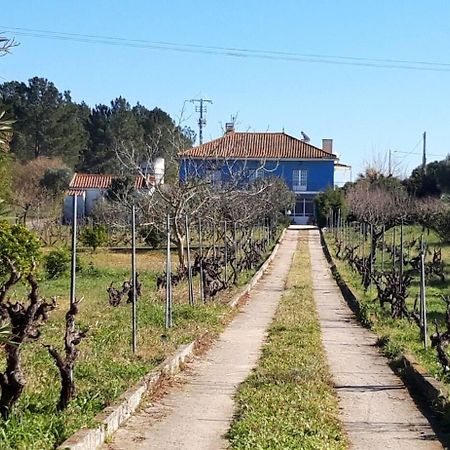 Casa Azul Tomar Prive Vakantiehuis 외부 사진