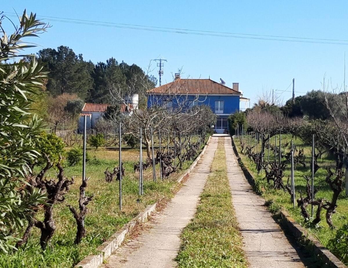 Casa Azul Tomar Prive Vakantiehuis 외부 사진