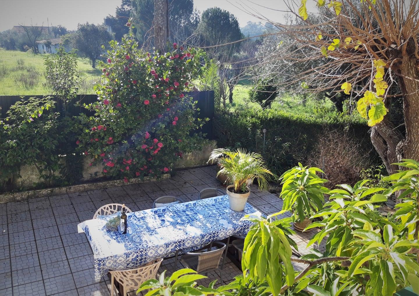 Casa Azul Tomar Prive Vakantiehuis 외부 사진