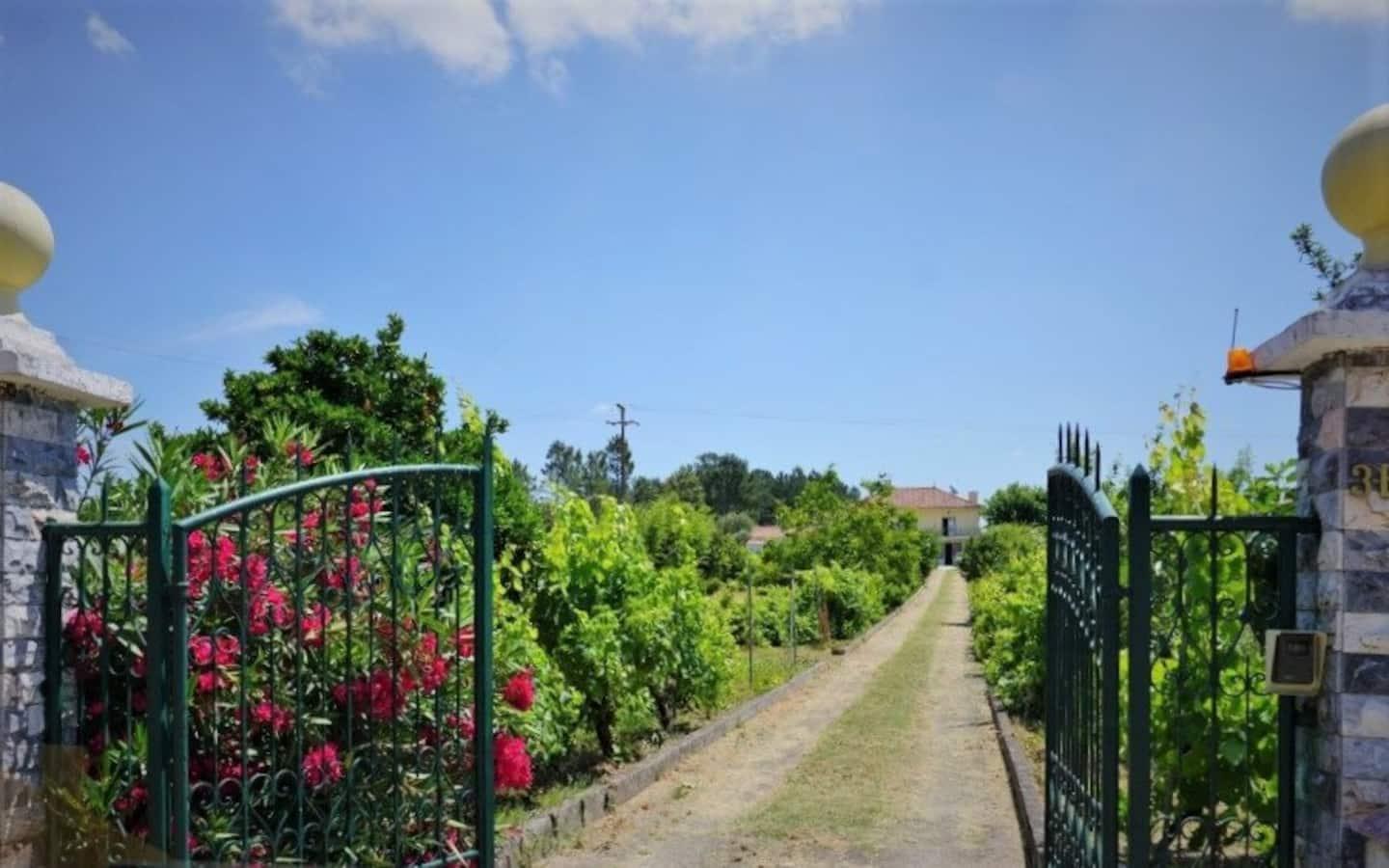 Casa Azul Tomar Prive Vakantiehuis 외부 사진