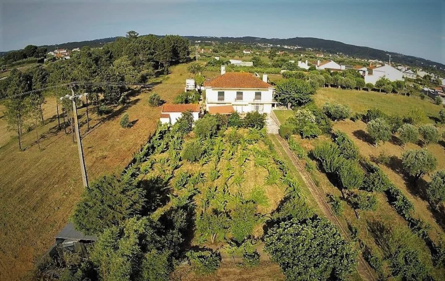 Casa Azul Tomar Prive Vakantiehuis 외부 사진